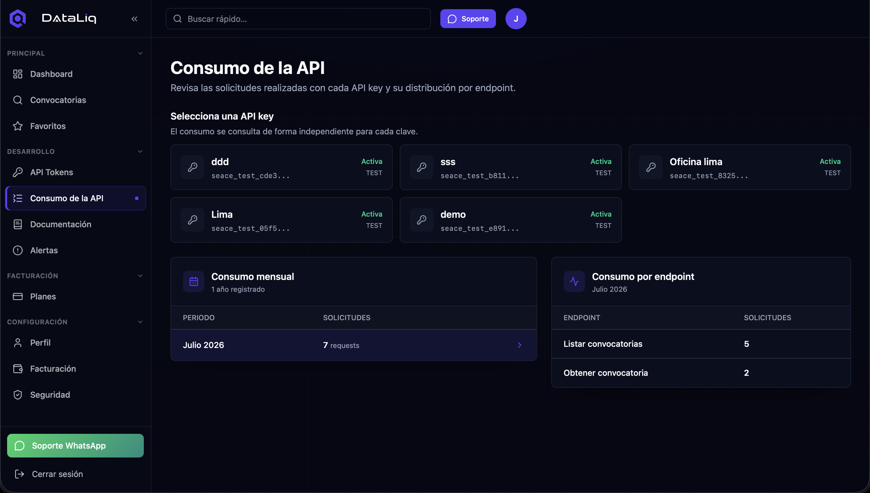 Vista de Consumo de API en DataLiq